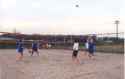 Volleyball 2.jpg (38494 bytes)